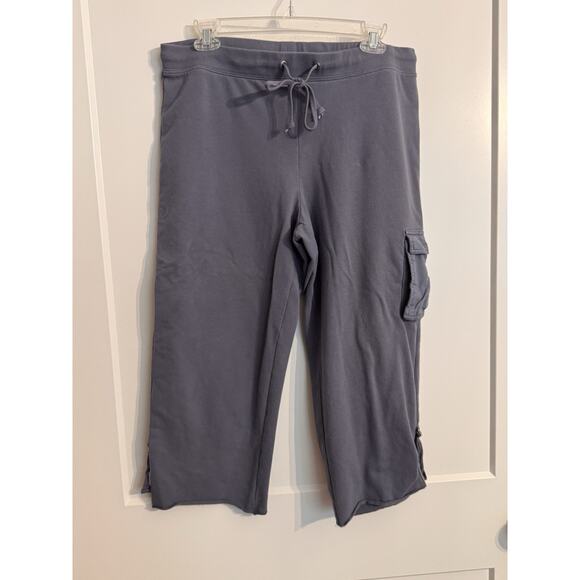 Gloria Vanderbilt 2 Piece Track Suit Lounge Gray Sz L Workout Hood Zip Pull On - Picture 16 of 16